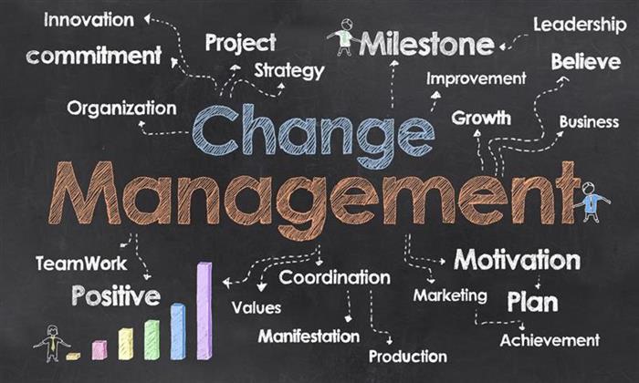 Le management de projet et le management de changement : les points en commun et les différences